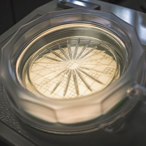 Microbial Sampling Criteria – Particle Measuring Systems
