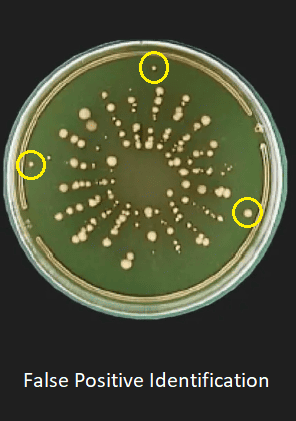 Optimizing Microbial Air Sampling to Reduce False Positives in Cleanrooms