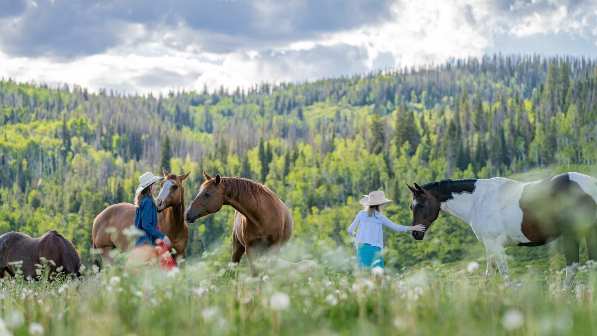 The 15 best all-inclusive resorts in the U.S. for families (2026)