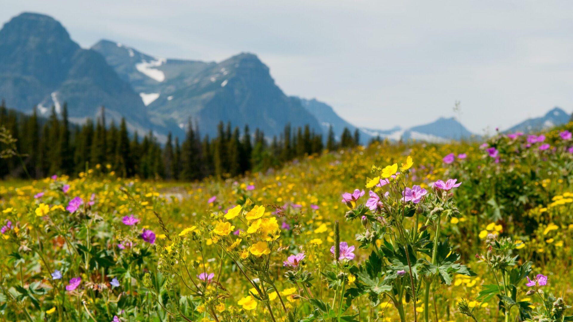 19 best national parks to visit in spring