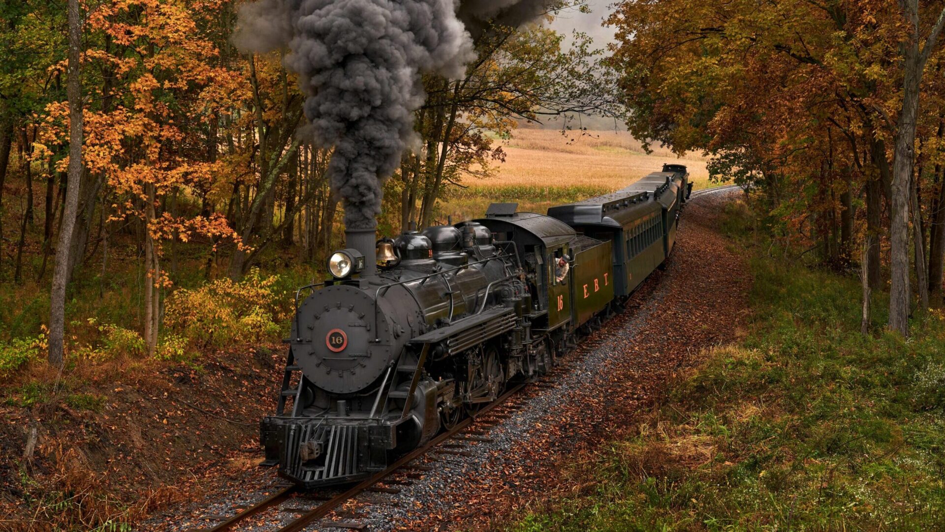 All aboard the 14 best fall foliage train rides in the U.S.